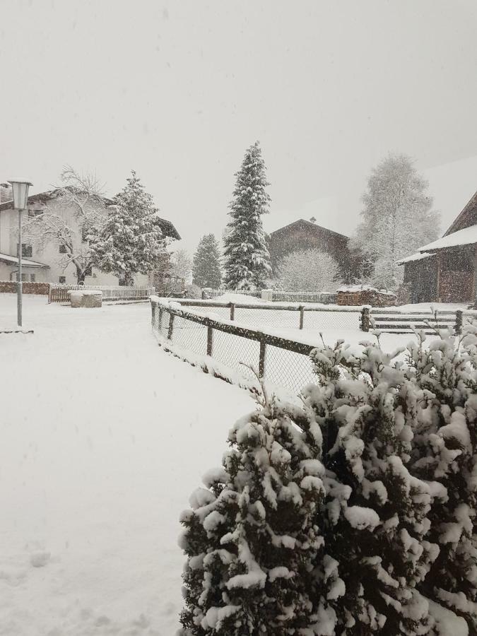 Haus Wiesenheim Fw Oetztal Längenfeld Exterior foto